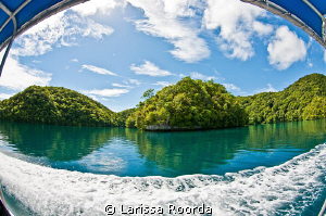 The beautiful trip back from Jellyfish Lake, Palau. by Larissa Roorda 